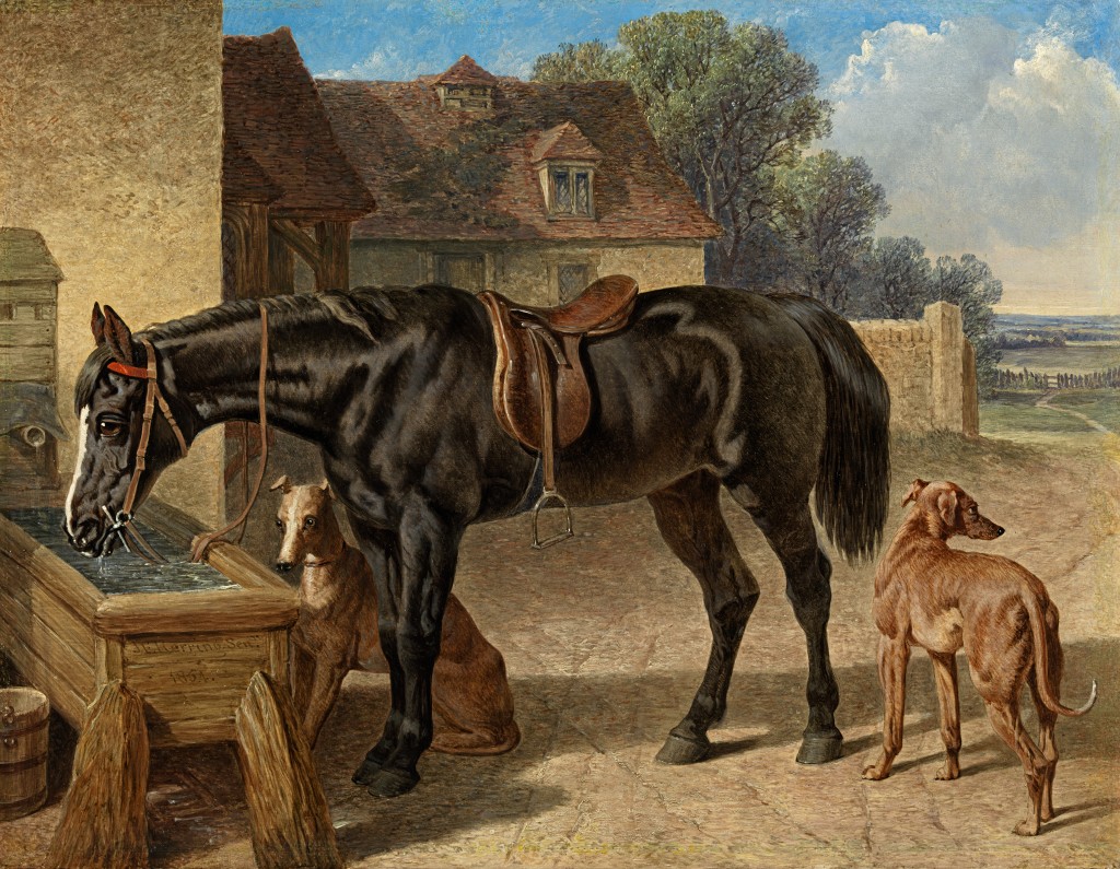 John Frederick Herring Snr - A farmer's hack drinking from a trough, with two greyhounds