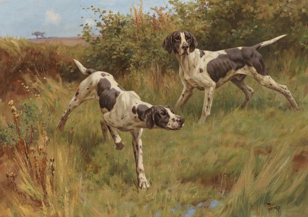 Two English pointers on the scent