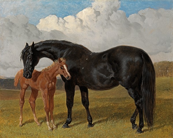 A mare and a foal in a landscape