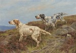 Thomas Blinks - Two English setters in a moorland landscape