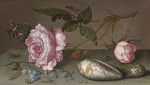 Balthasar van der Ast - Still life of roses, shells and insects on a table