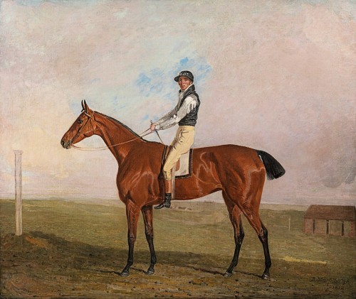 Ben Marshall - Mr Robert Jones's bay racehorse Poulton with Sam Chifney Jnr up