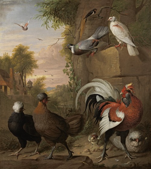 Jacob Bogdani - A cockerel, Polish hens, pigeons and a swallow in a landscape with a dovecote